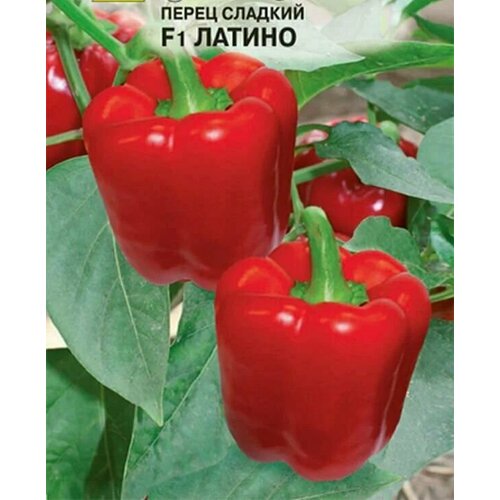 ������ ������ ������������� ������ ����� �������� ������ F1 ����