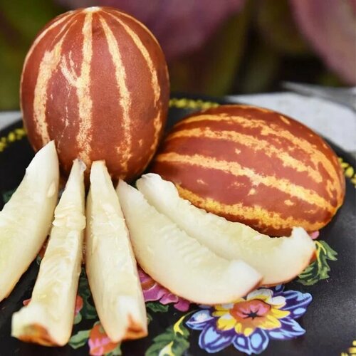 ������ ������ ������������� ������ ���� ����� ��������� ����