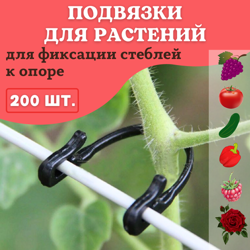 ������ ������ ��������� �������� ������� ��� �������� �������� ���� 200 �� ����