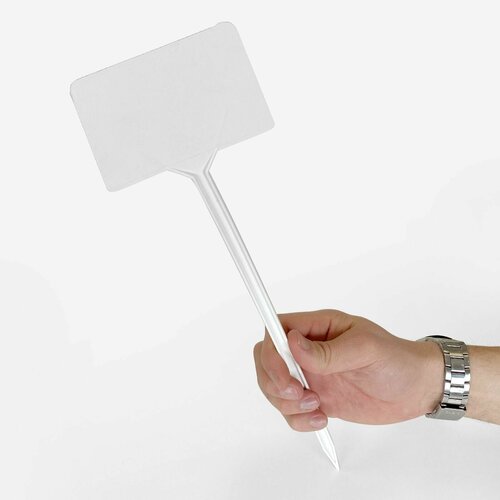 ������ ������ �������� ������� ��� �������� � �������, ����� ������ 5 ����, 400�� ����