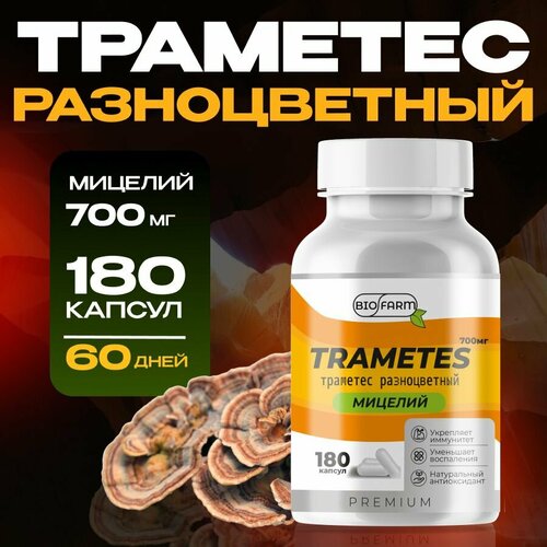 ������ ������ �������� ������������ ������� 700��, �������� ���� ����