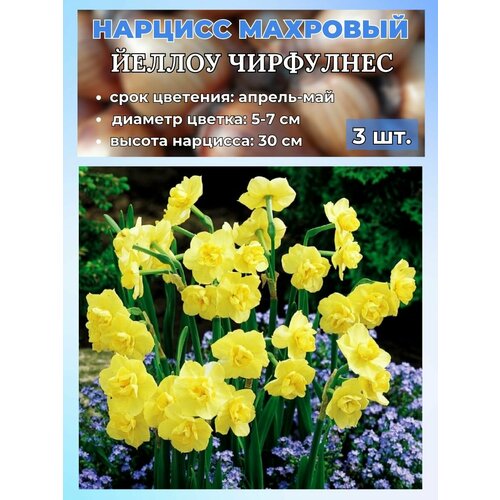 ������ ������ ������� ��������. �������� 3 ����� ����