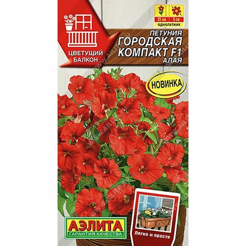 ������ ������ ������ ������� ��������� ������� F1 ����, ����������, (������) 7�� �������� ������ ����