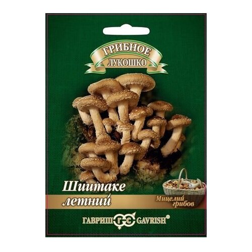 ������ ������ ������� ������ ������ ������� ������� ������� ������ �� ��������� ������� 12 ��. ����