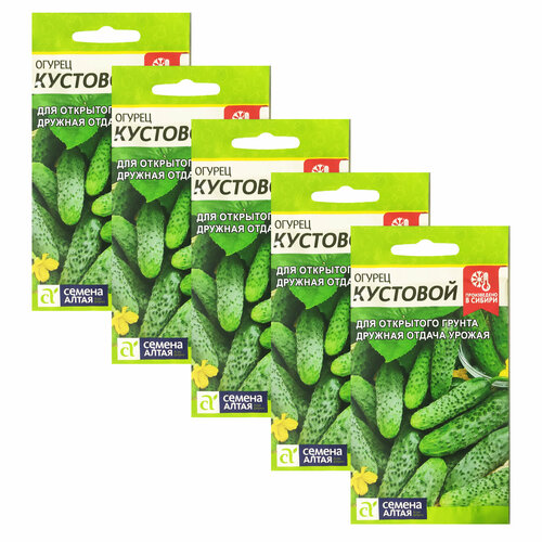 ������ ������ ������ ������ �������� 0,5 � (������ �����) , 5 �������� * 0,5 � ����