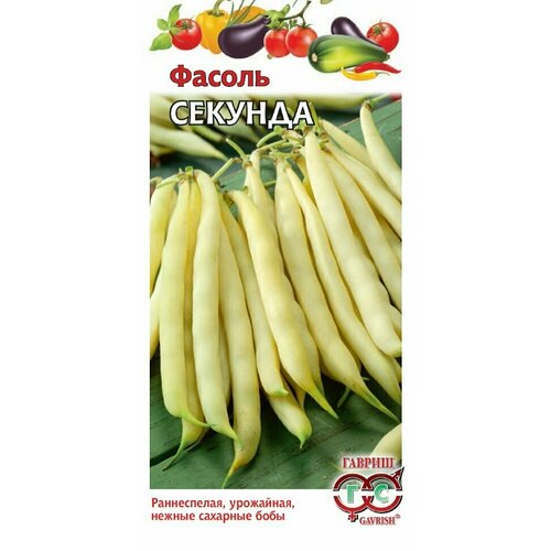 ������ ������ ������, ������ �������, �20 5 ����� ����