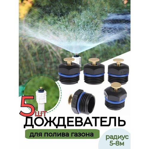 ������ ������ ����������� �������� 5 ��. ����