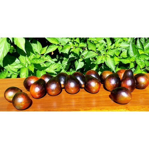 ������ ������ ������ ����� ����� ����� (Blue Keyes) / Seeds And Goods / � �������� zip-lock ��� ���������� 10 ����� ����