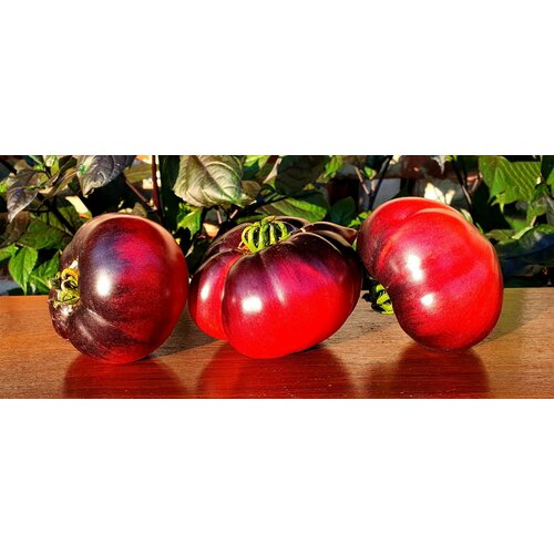 ������ ������ ������ ������ ����� ���������� ����� (Siberian Tiger Claws) / Seeds And Goods / � �������� zip-lock ��� ���������� 10 ����� ����