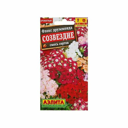 ������ ������ ������. ����� ��������� 