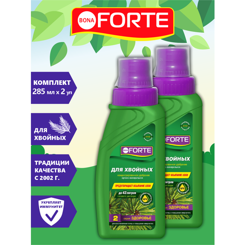   Bona Forte      285 . x 2 .   -     , -,   