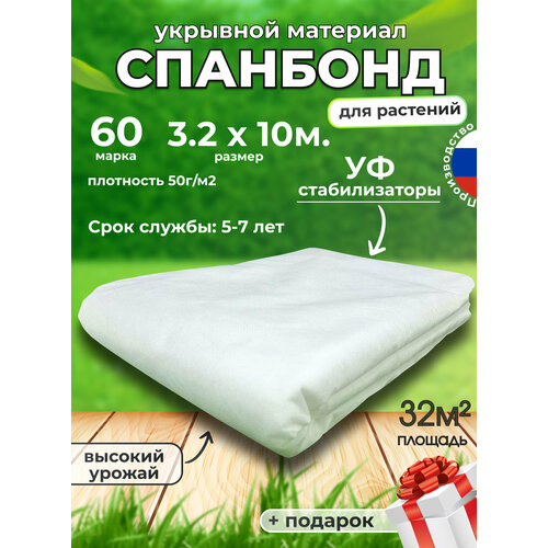 ������ ������ �������� ����� ��� �������� ������� ������� �������� 60 ����