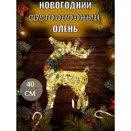 ������ ������ ���������� ���������� ����� 40�� ����