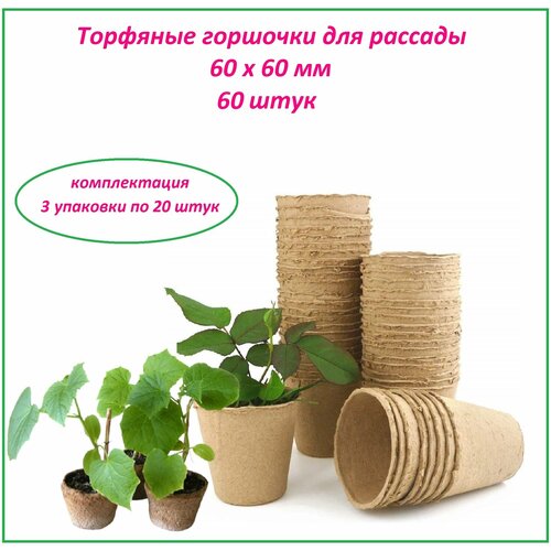 ������ ������ �������� ���������� ��� ������� ���� 60�� ����