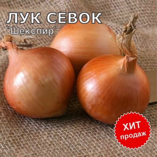 ������ ������ ��� ����� ������ 