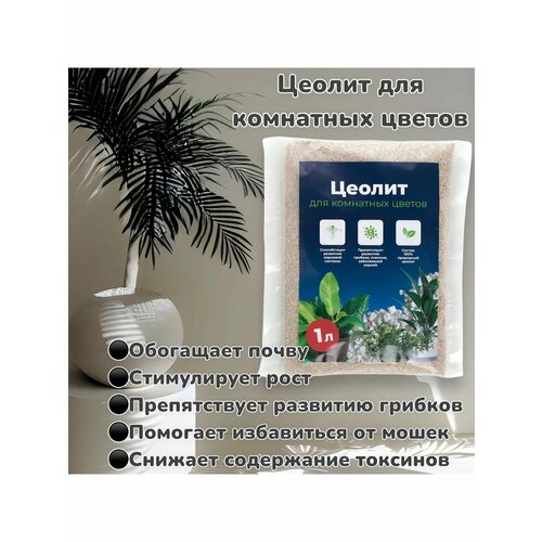 ������ ������ ������ ��������� ��� ��������� ������ 1 ���� ����