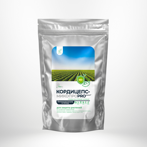 ������ ������ ���������-������� (���������), 1 �� ����