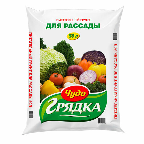 ������ ������ ����� �������-���� ����-������ ��� �������, 50 �, 20 �� ����