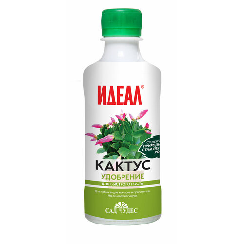 ������ ������ ������ (0.25 �) ��������� ������ ������������ ����������� �������� ����