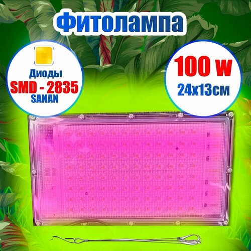 ������ ������ ��������� 100 ���� ��� ����������� ������� ����