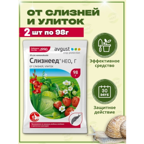 ������ ������ �������� �� ��������� � ������ 