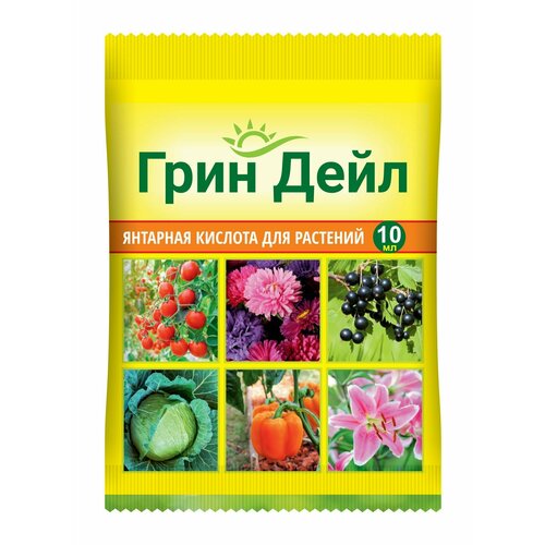 ������ ������ �������� ������� ��� �������� ���� ���� �� (10 ��) ����