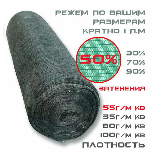    (50% )  () 43    55 /2   -     , -,   