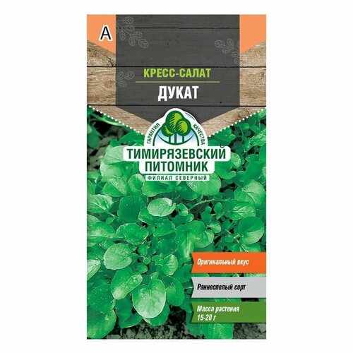 ������ ������ �����-����� ����� 1 � ����