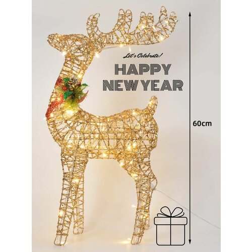 ������ ������ ����� ���������� ��� ����, ������������ 60 �� ����