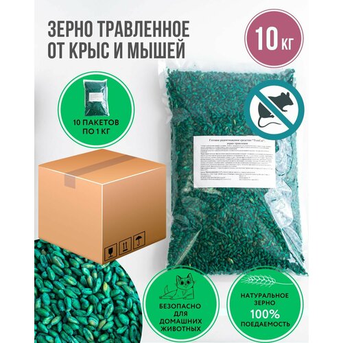 ������ ������ �������� �� ����� � ���� ����� ������ ������� 10 �� ����