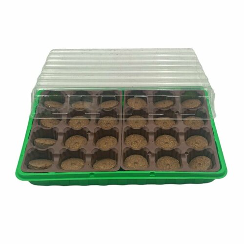 ������ ������ ���� ������ ��� ������� ����, � ��������� ���������� 24 ��, � ������� � ��������, d 41 �� ����