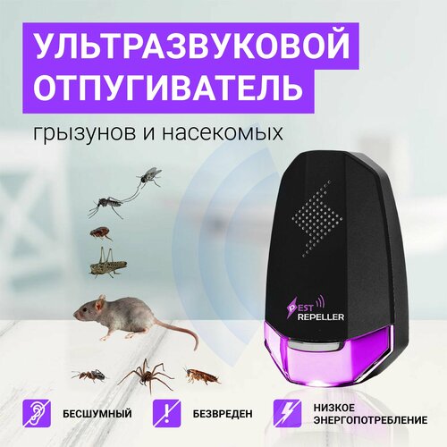 ������ ������ �������������� ������������ �������� � ���������, �����, ��������� ����