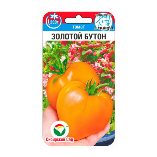 ������ ������ ������ ����� ������� ����� 20�� ��� ��� (��������� ���) ����