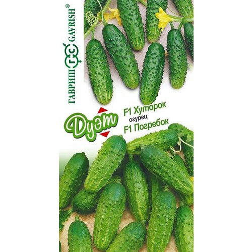 ������ ������ ������ ������ �������� F1+������� F1 20�� (������) ����� ���� ����