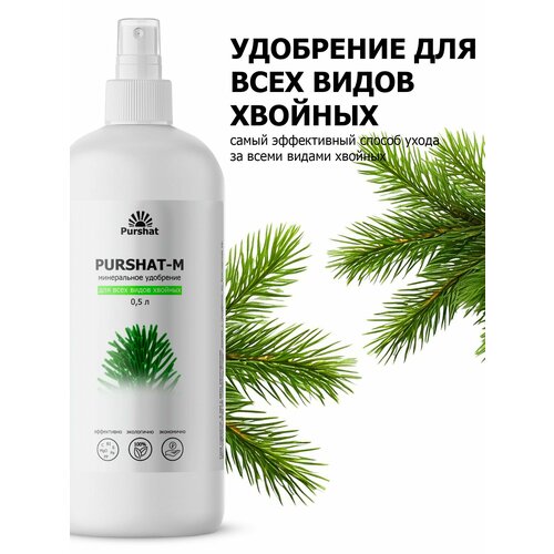 ������ ������ ��������� ��� ������� � ������������ ������-� ����� 500 �� ����