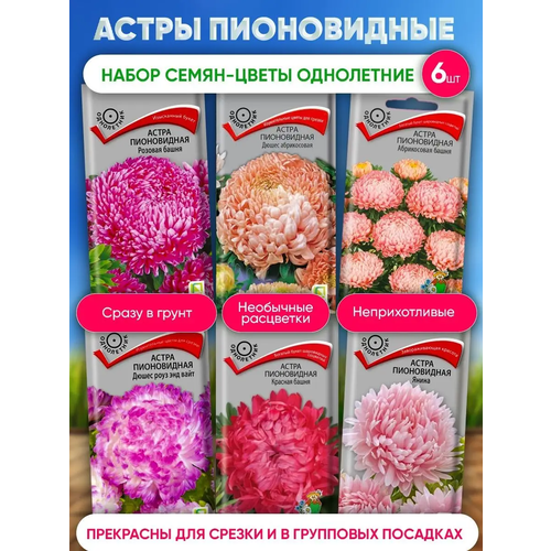 ������ ������ ������ ������ � ��������� �������� � ���, �� ���� � ������, ����� � ����� ����������, ����� ����������� ����� 6 ���� ����