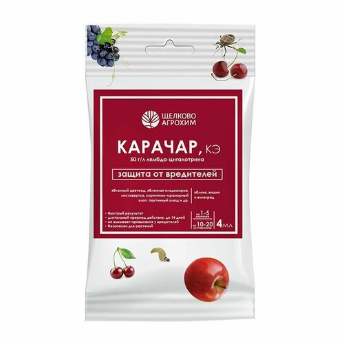 ������ ������ ������� 4 �� (�� ��������� ����������) /������� �������/ ����