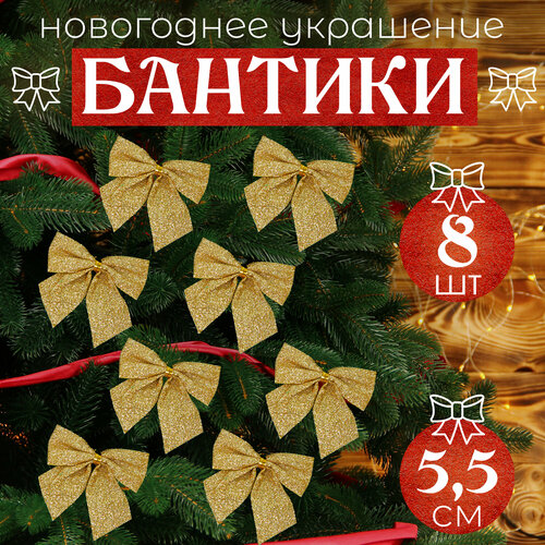 ������ ������ ����� �� ���� ������ 8�� 5,5�� ����