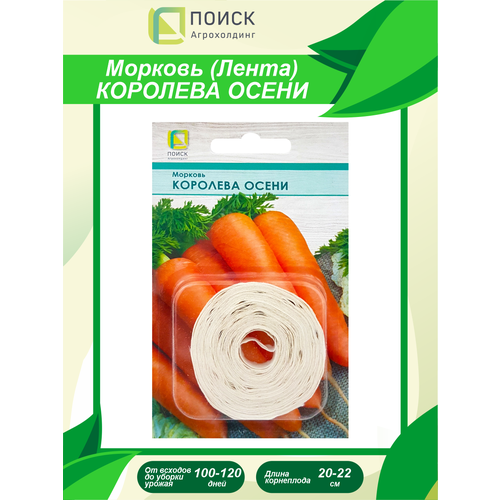 ������ ������ ������ ������� �������� ����� ����� 8 �. ����