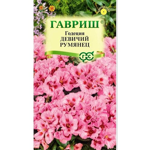 ������ ������ ������� �������� ������� �������, 1 �����, ������ 0,05 ��, ������ ����