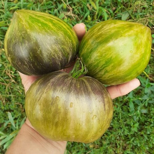 ������ ������ ������ ������ ����� �������� �������� ����������� vt16 10 ��. ����