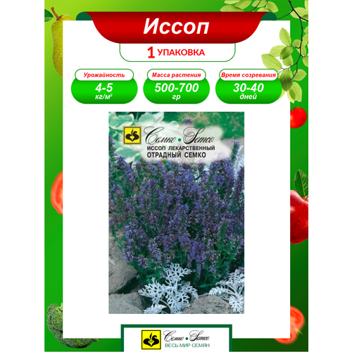 ������ ������ ������ ����� �������� ����� ����������� 0,2 ��. ����