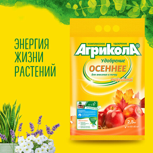 ������ ������ ��������� ��� �������� � ����� �������� ������� ����