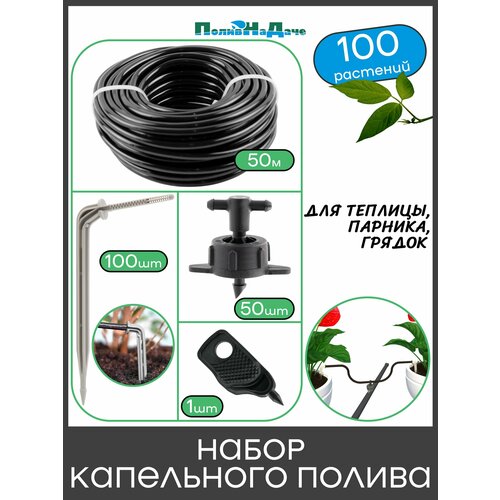 ������ ������ ����� ���������� ������ �� 100 �������� ��� �������, �������, ������ ����