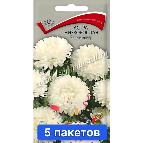 ������ ������ ������ ������ ����� 