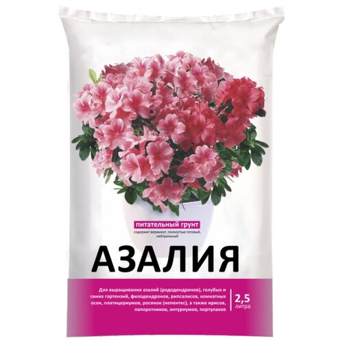 ������ ������ ����� ���-���� ��� ������, 2.5 �, 1.2 �� ����