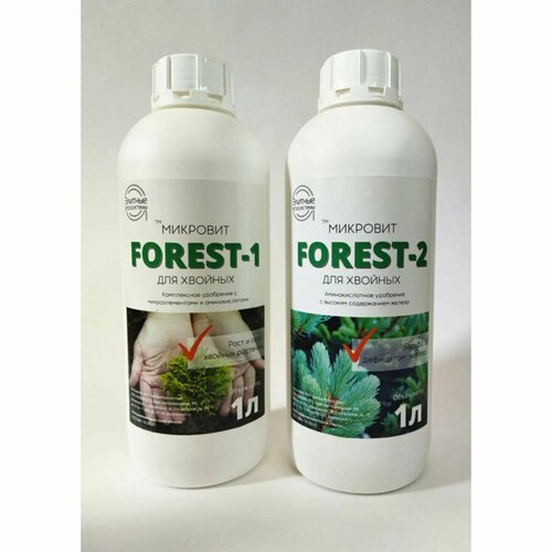    Forest -        -     , -,   