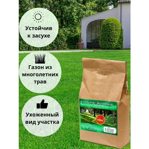 ������ ������ �������� ����� ������ ����������� 5��, ���������� ����