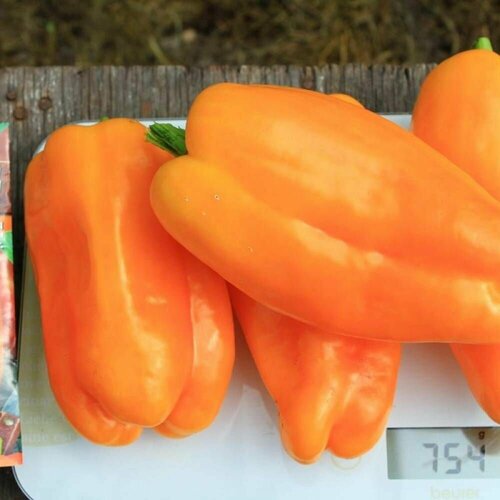 ������ ������ ������������� ������ ����� �������� ������� ����� F1 ����