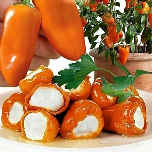 ������ ������ ������������� ������ ����� �������� ���� ������� ����� F1 ����